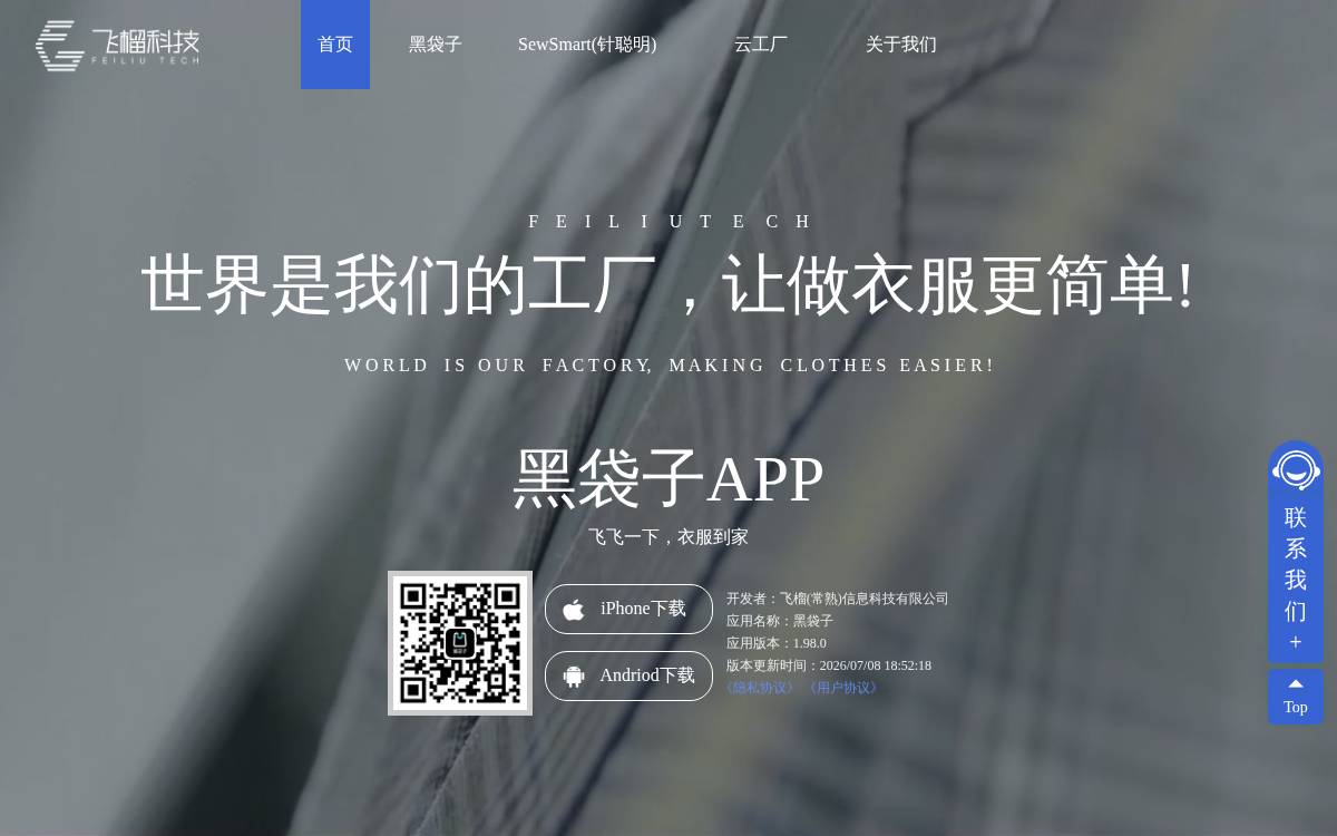 FeiLiu Tech website preview