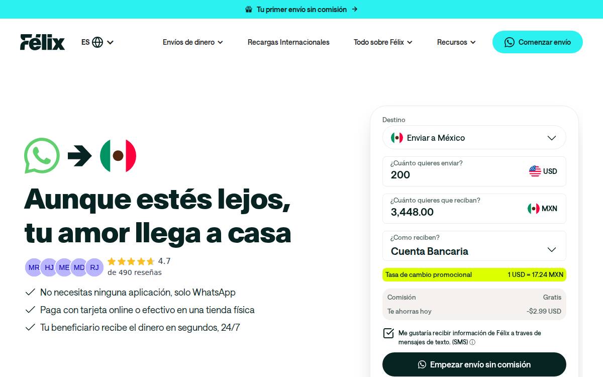 Felix website preview