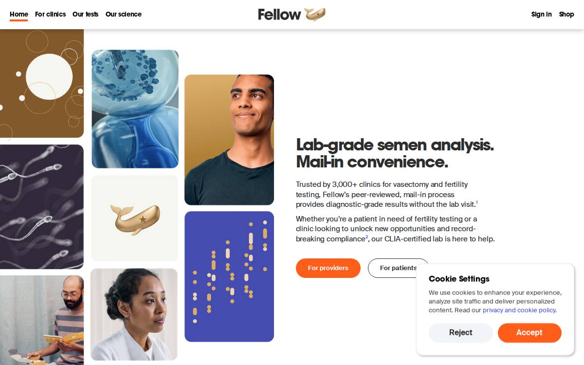 Fellow website preview