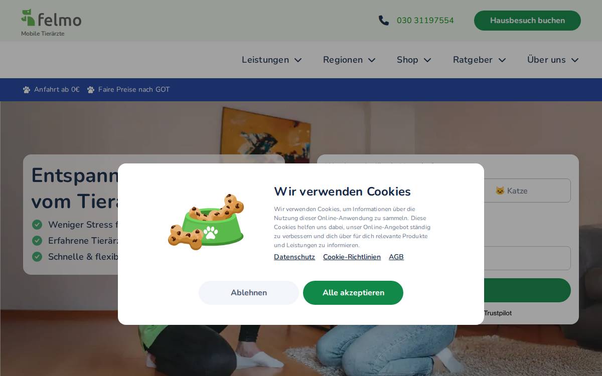 Felmo website preview