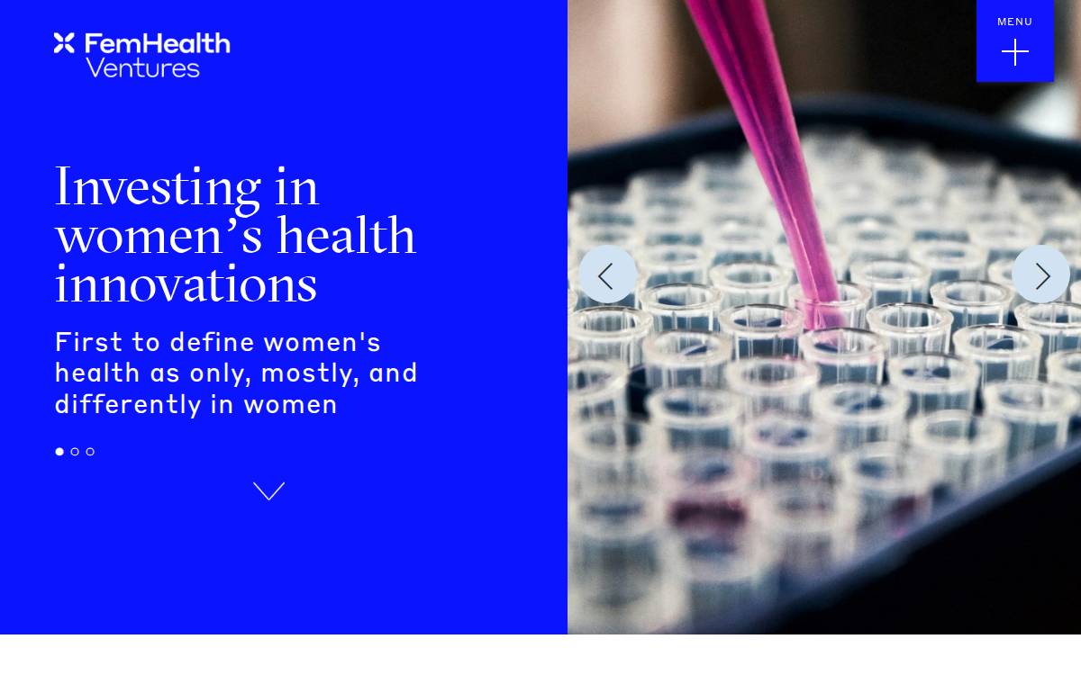 FemHealth Ventures website preview