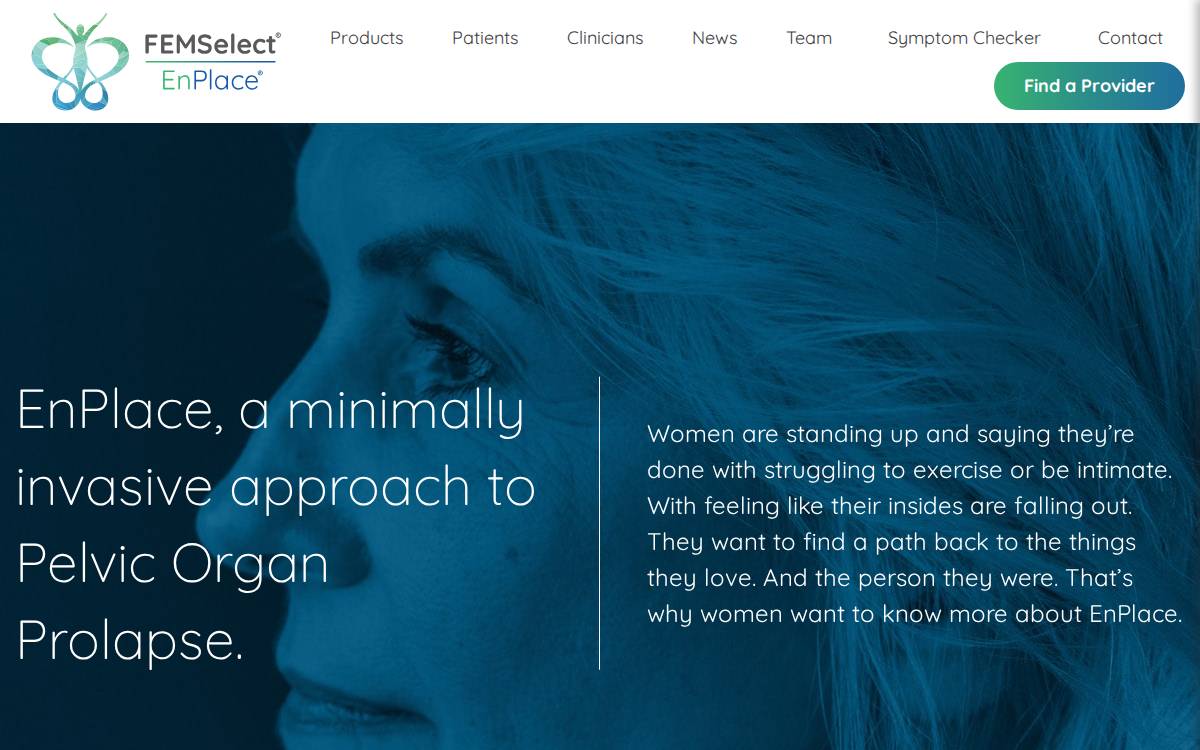 FEMSelect website preview