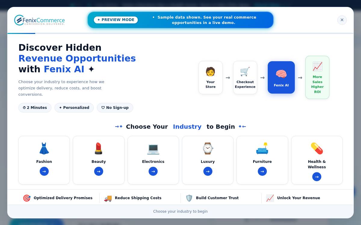 FenixCommerce website preview