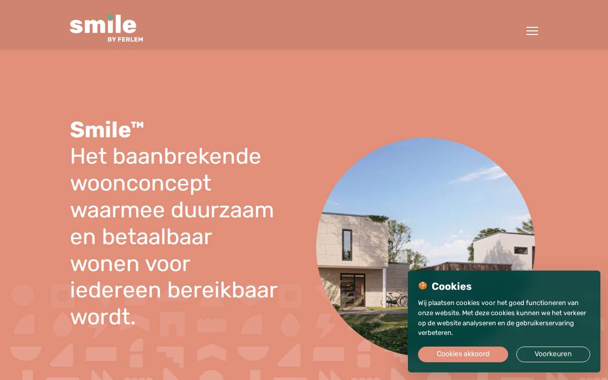Ferlem website preview