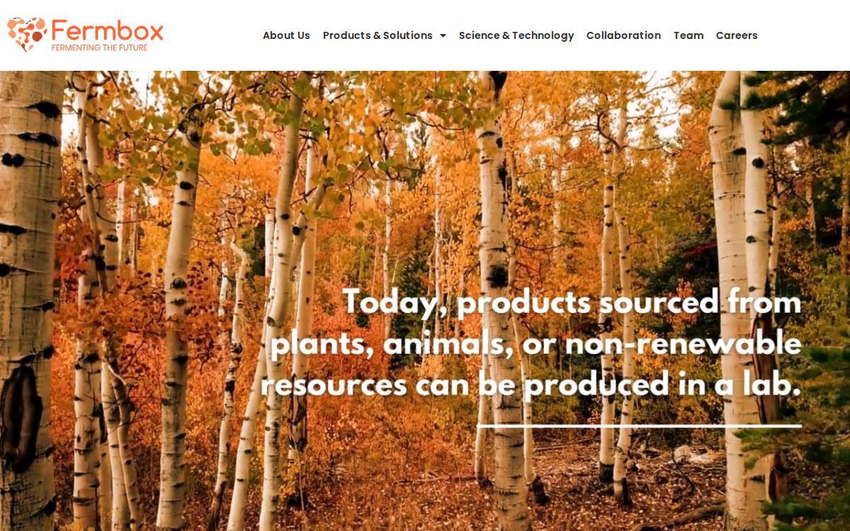 Fermbox website preview