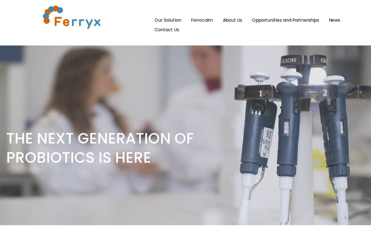 Ferryx website preview