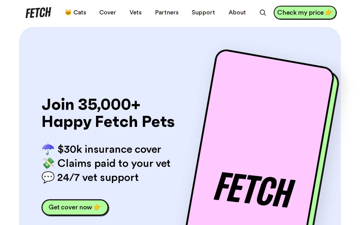Fetch website preview