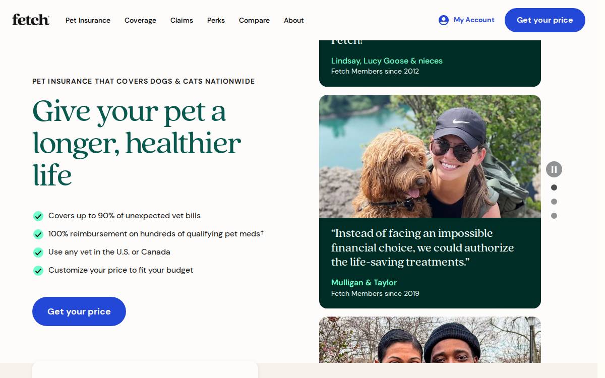 Fetch website preview