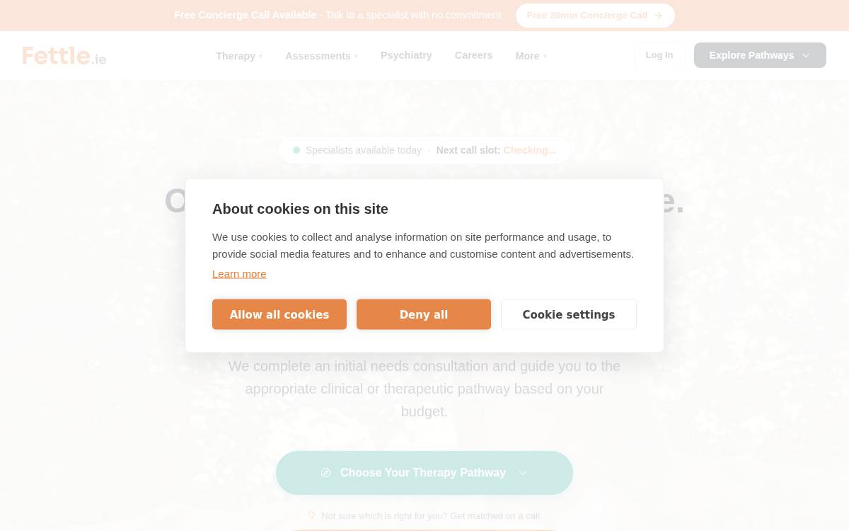 Fettle website preview