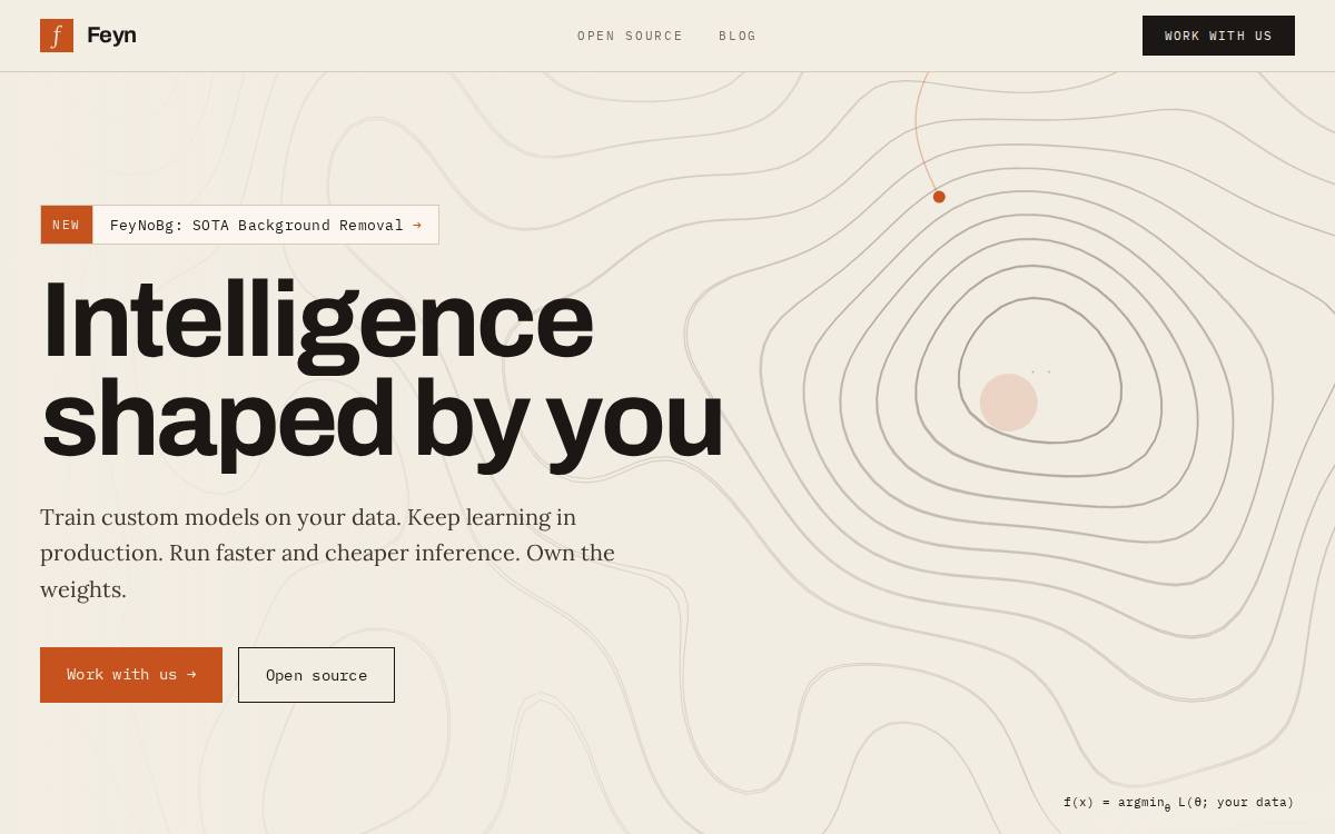 Feyn website preview