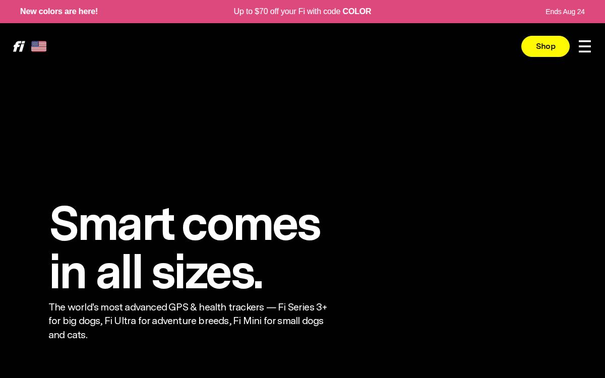 Fi website preview