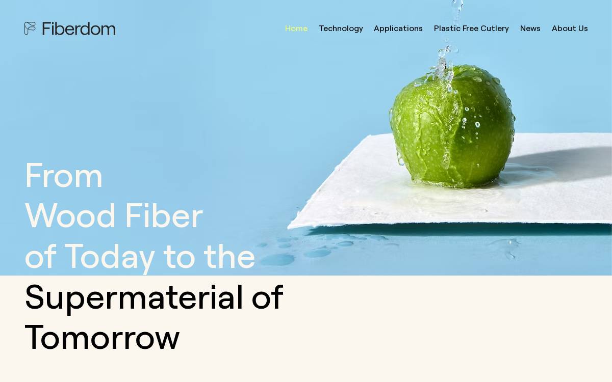 Fiberdom website preview