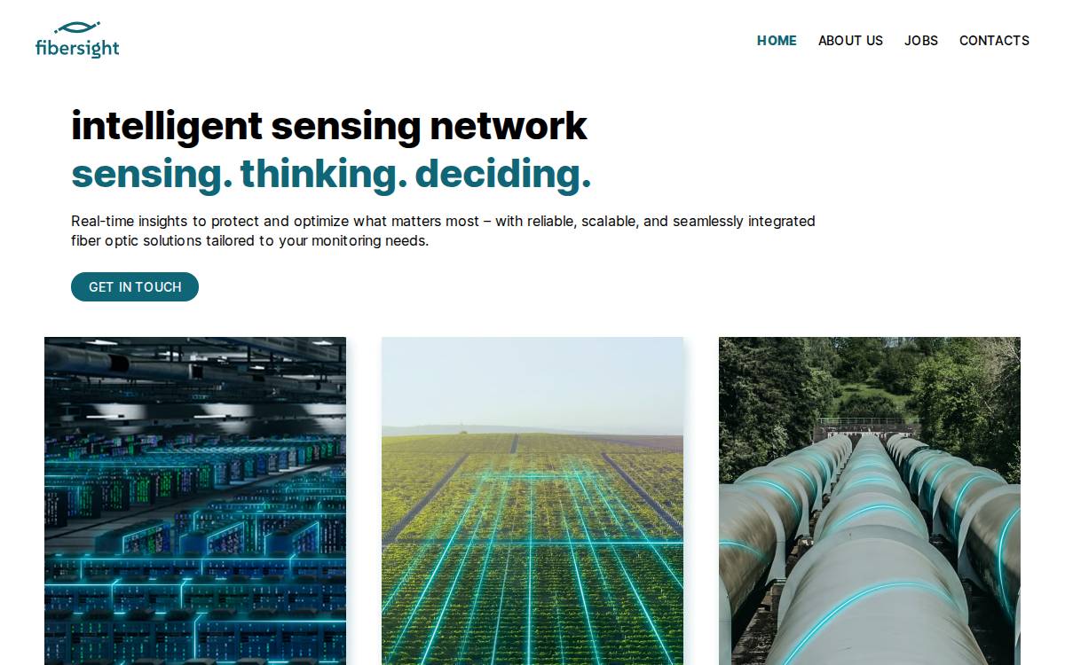 FiberSight website preview