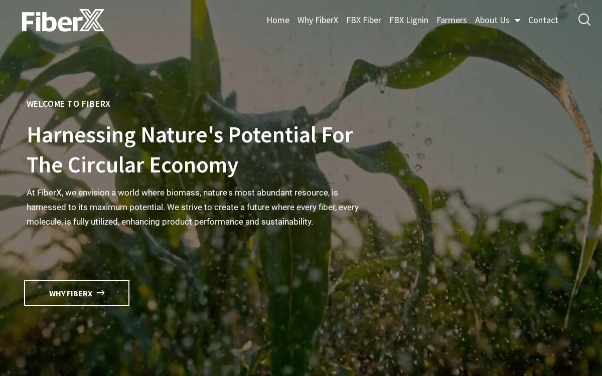 FiberX website preview