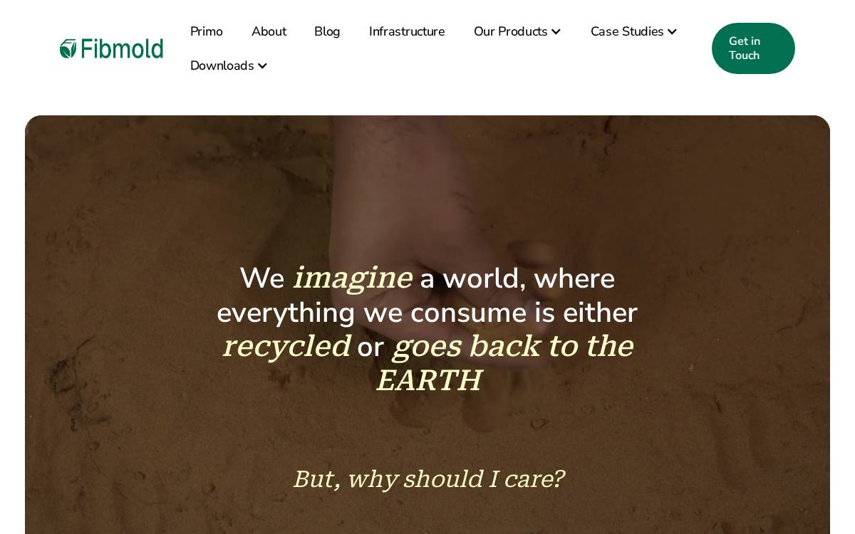 Fibmold website preview