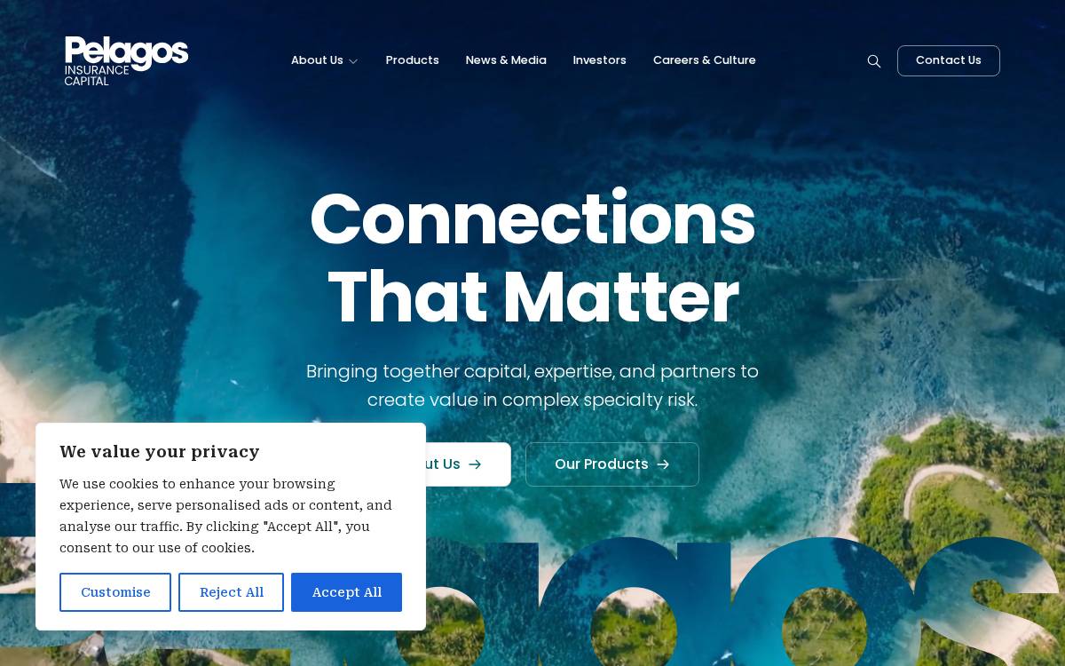 Fidelisinsurance website preview