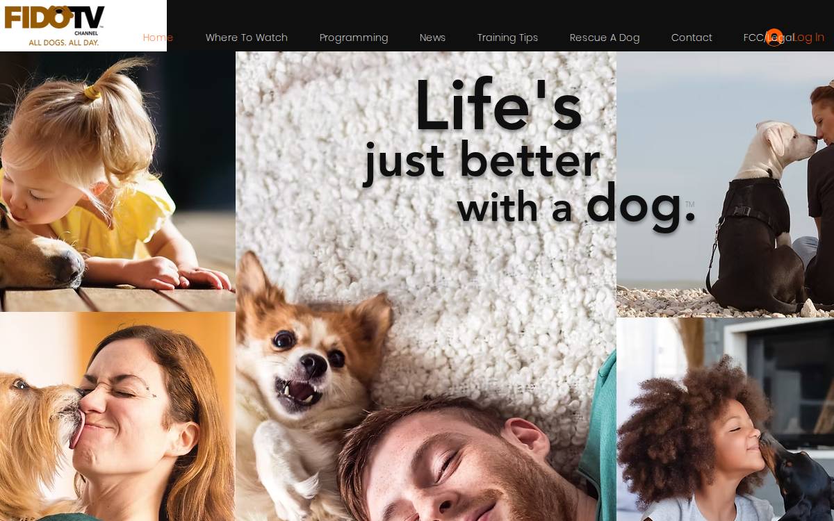 FidoTV Channel website preview