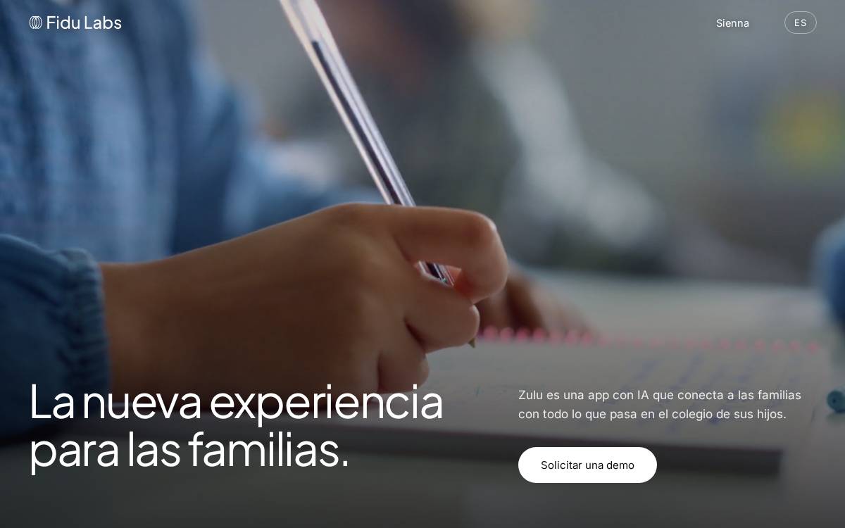 Fidu website preview