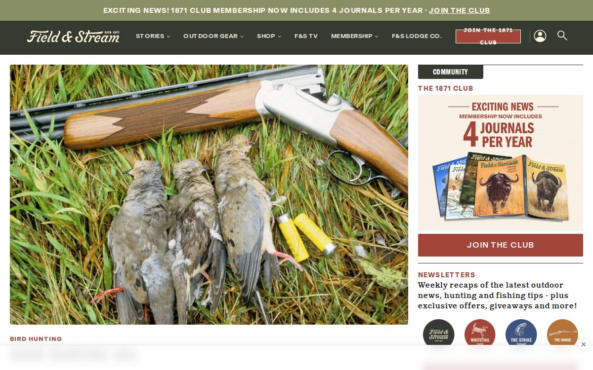Fieldandstream website preview