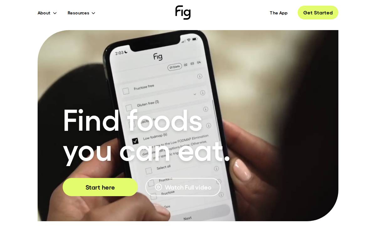 Fig App website preview