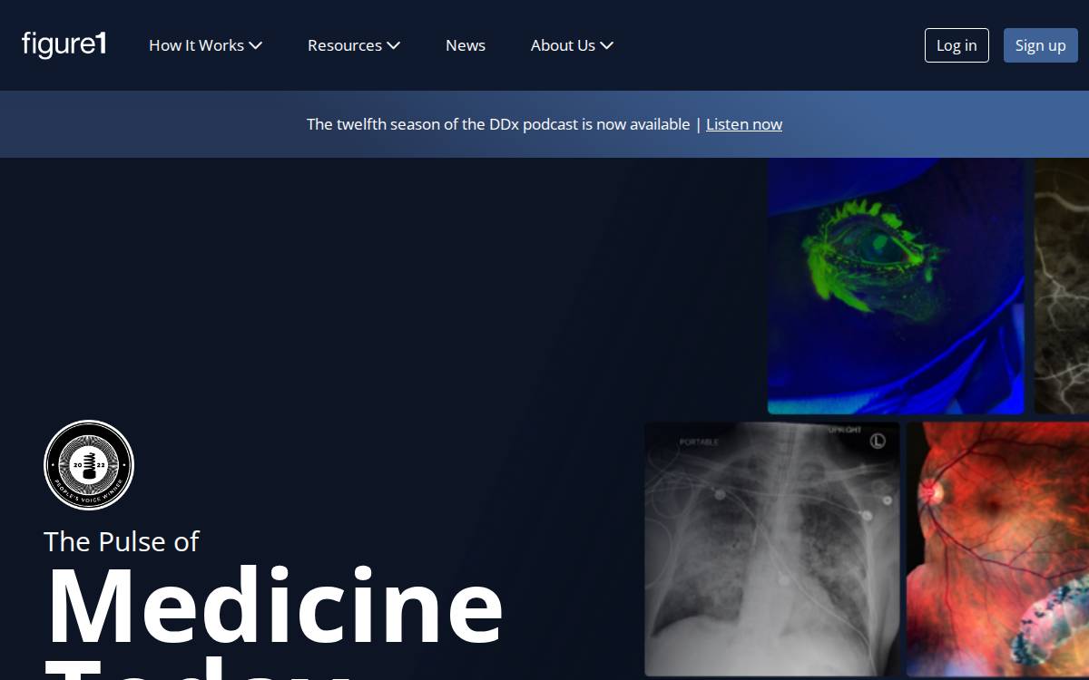 Figure 1 Inc. (Exited) website preview