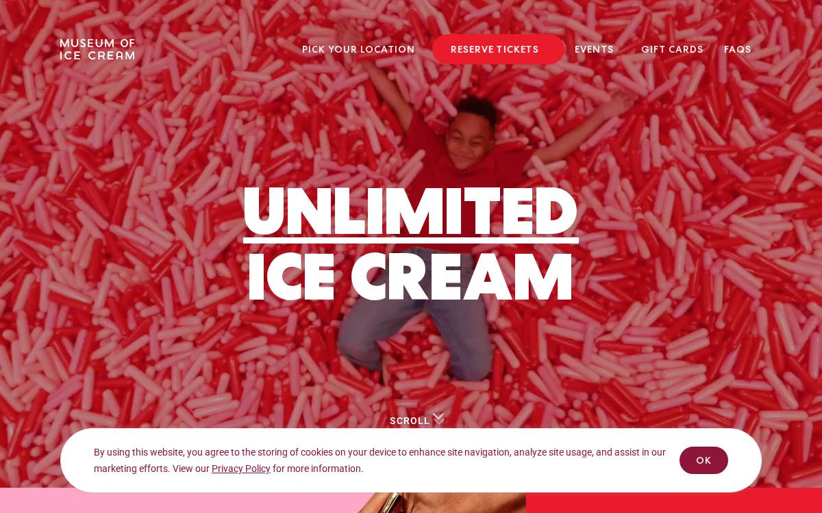 Figure 8 website preview