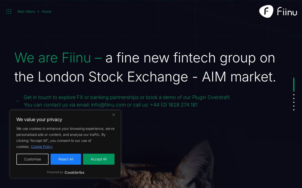 Fiinu website preview