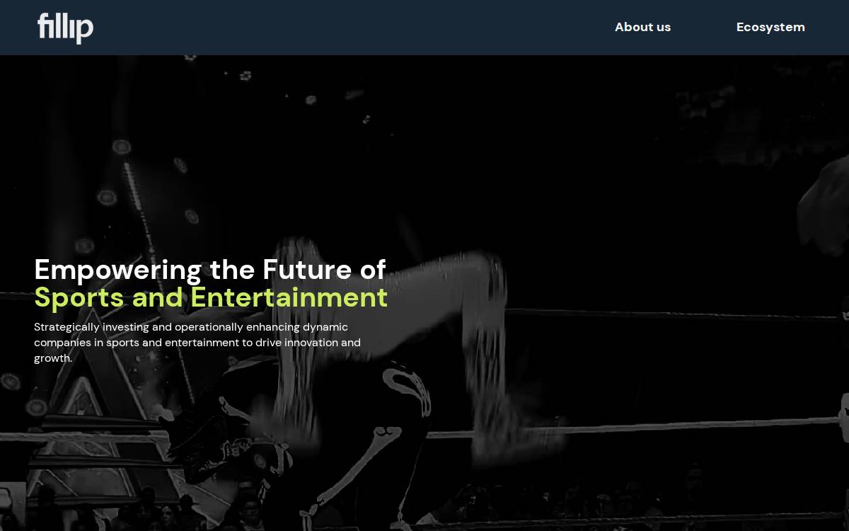 Filip website preview