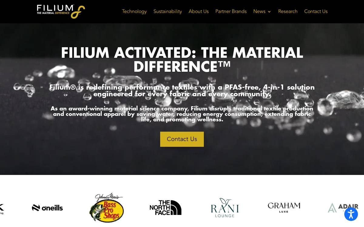 Filium website preview
