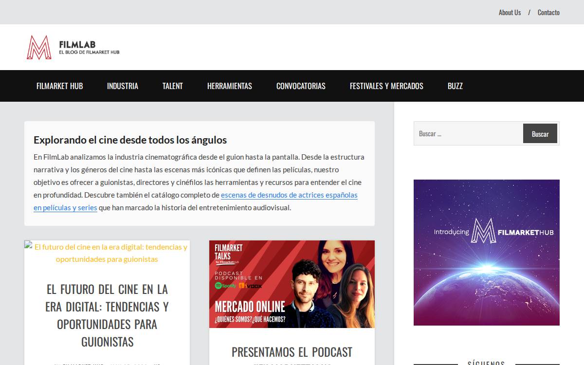 Filmarkethub website preview