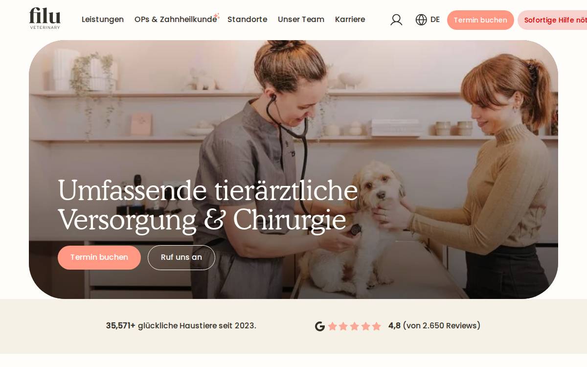 Filu website preview