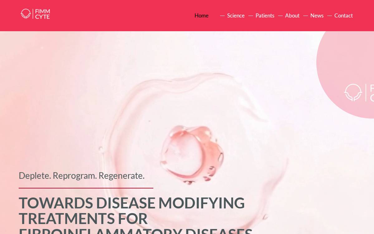 Fimmcyte website preview