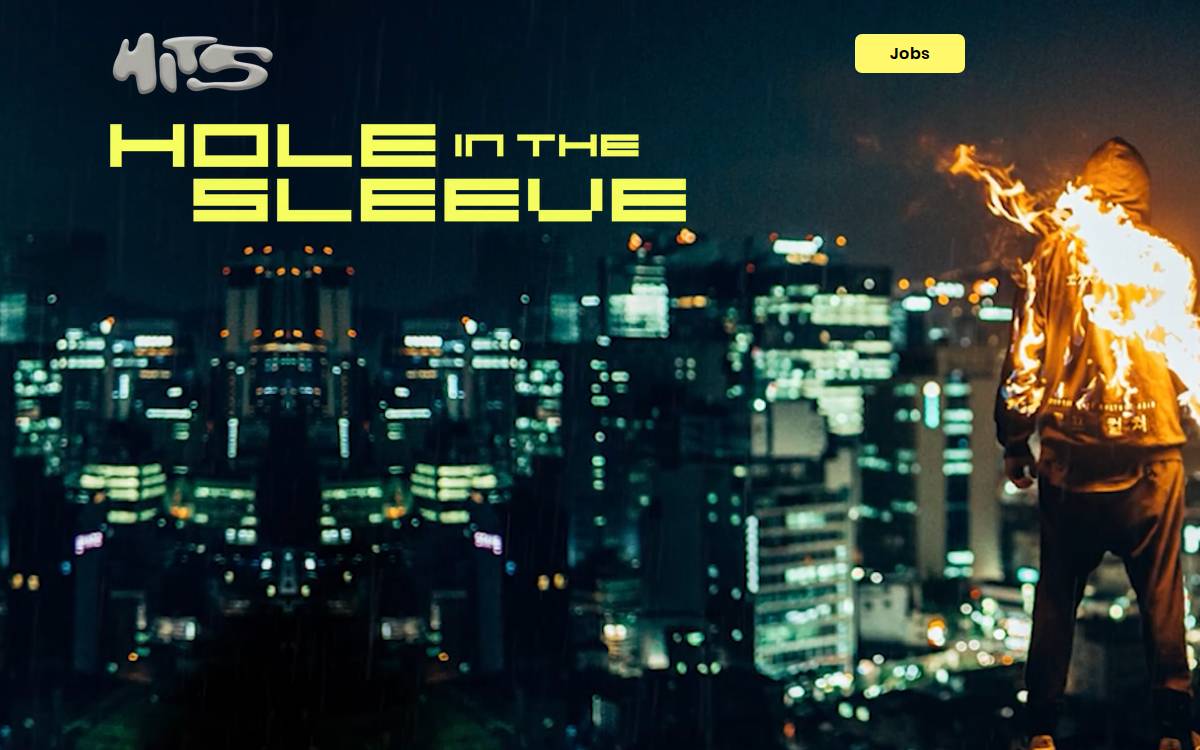 FIN website preview