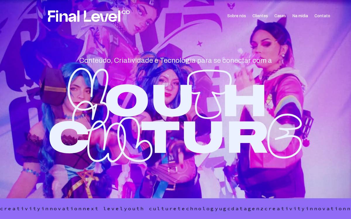 Final Level Company website preview