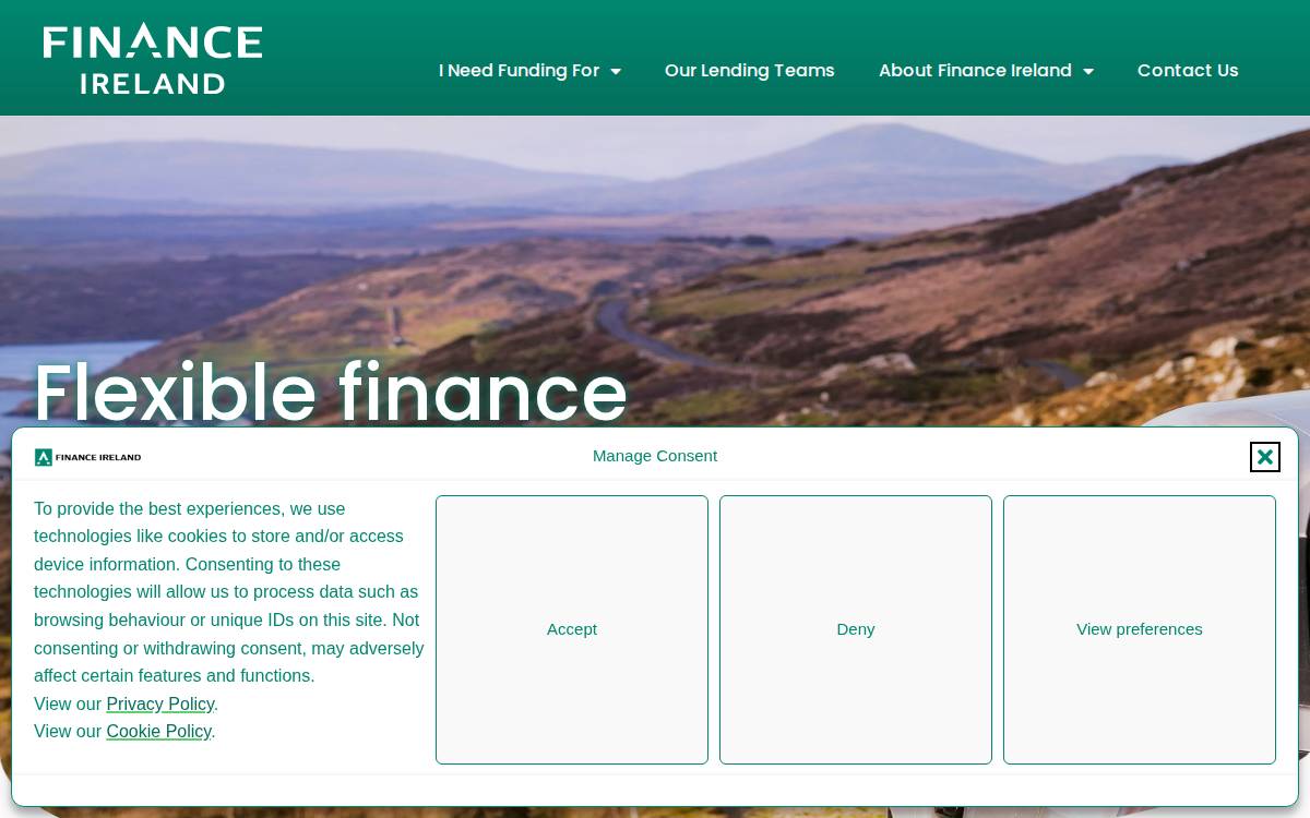 Finance Ireland website preview