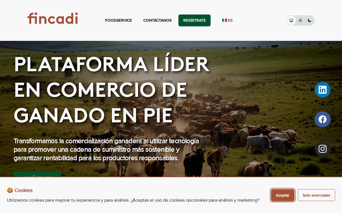 Fincadi website preview