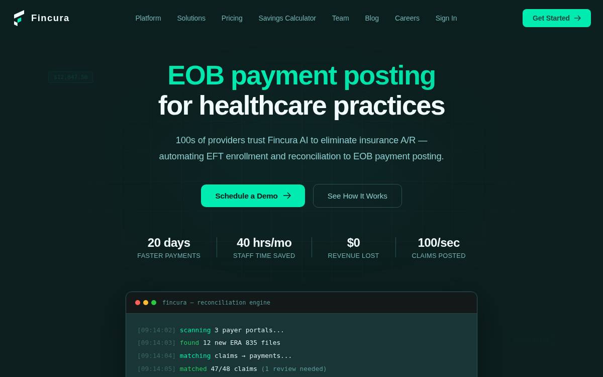 Fincura website preview