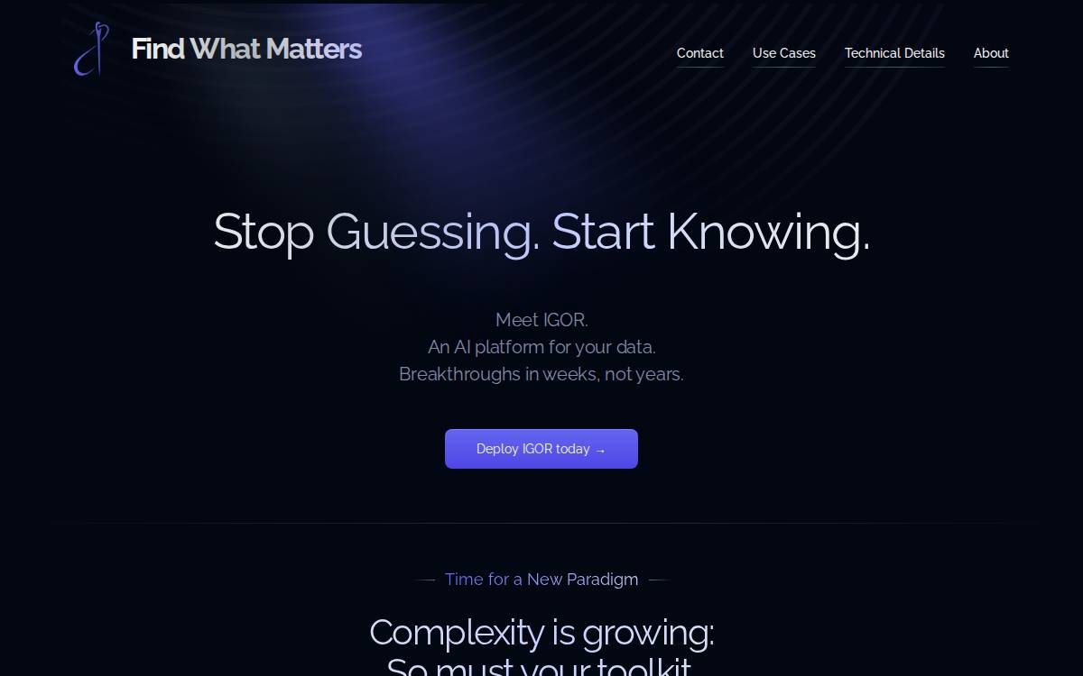 Find What Matters AI website preview