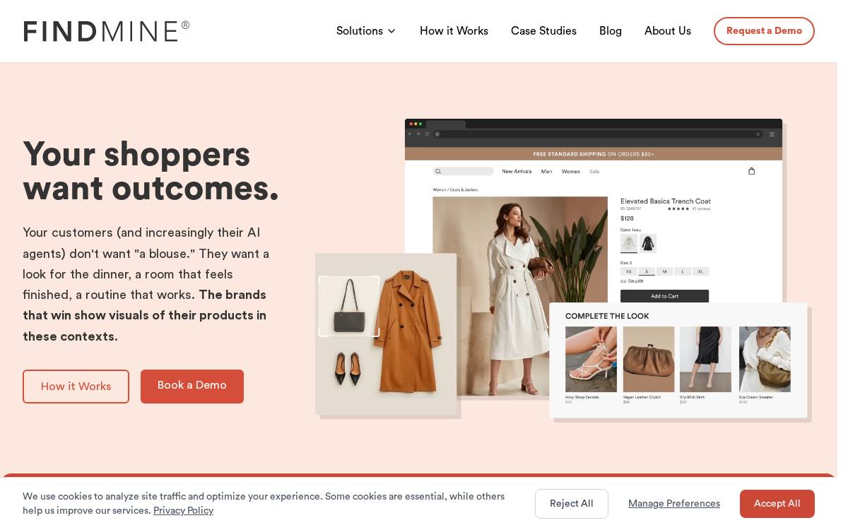 FINDMINE website preview
