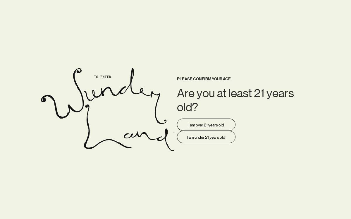 Findwunder website preview