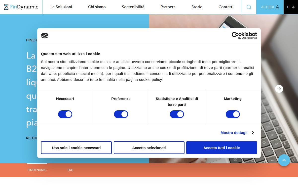 Findynamic website preview