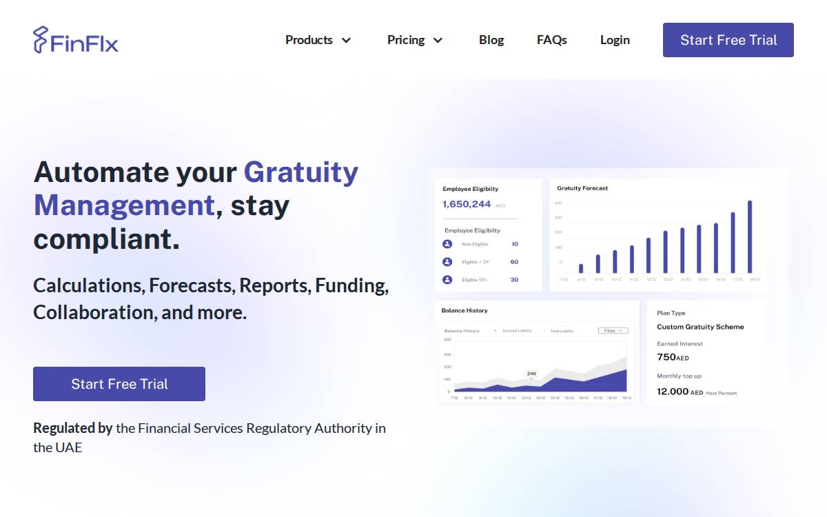 FinFlx website preview