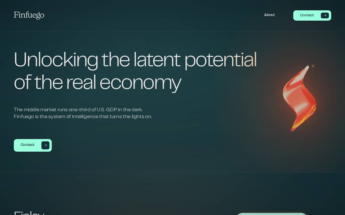 Finfuego website preview