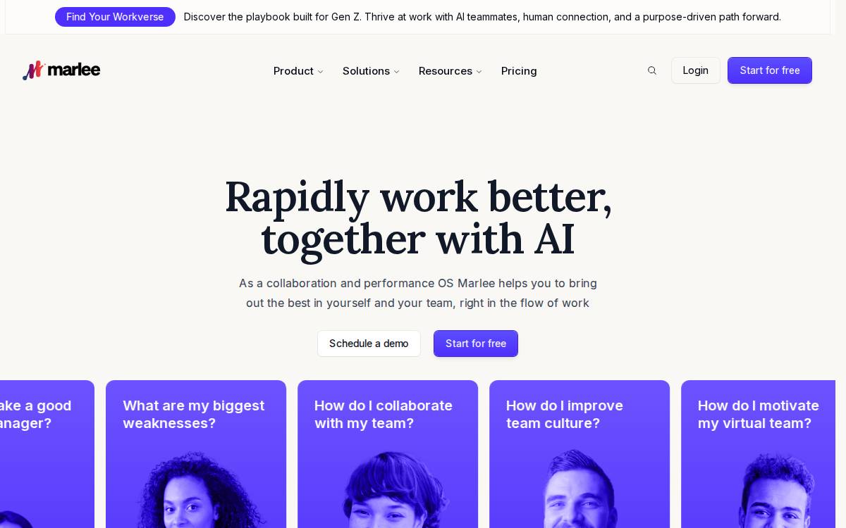 Fingerprint for Success website preview
