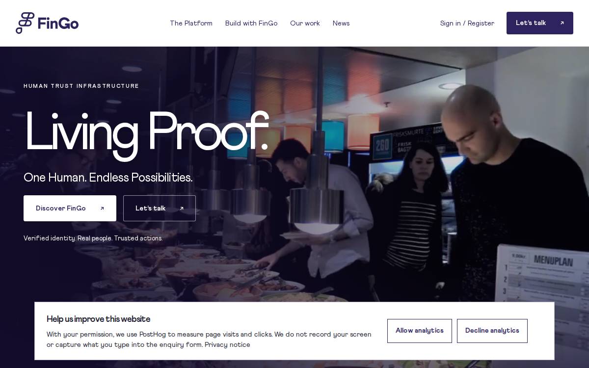 Fingo website preview