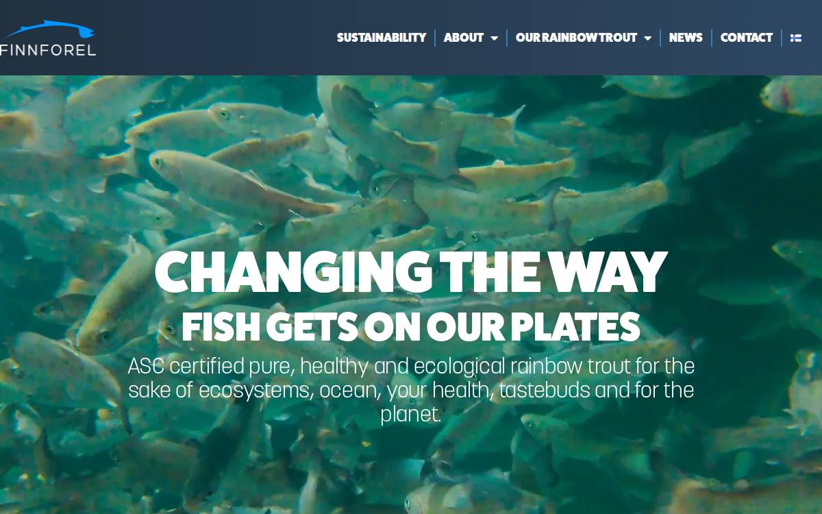 Finnforel website preview