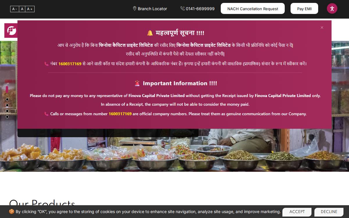 Finova website preview