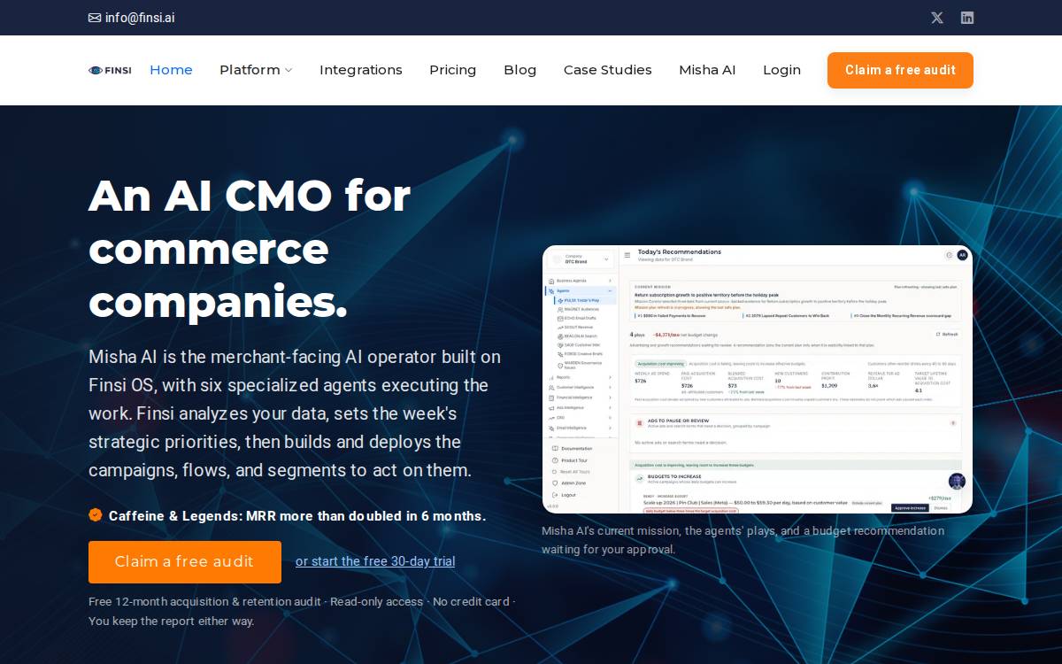 Finsi website preview