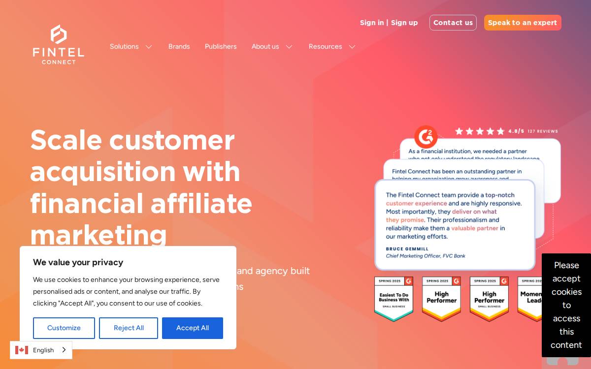 Fintel Connect website preview