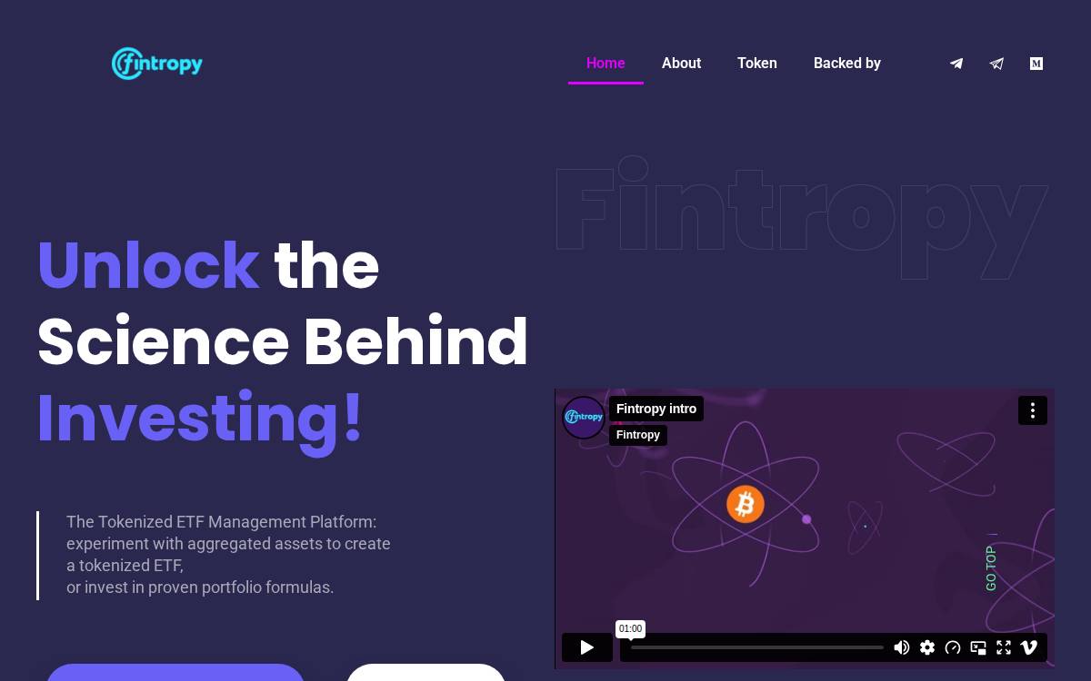Fintropy website preview
